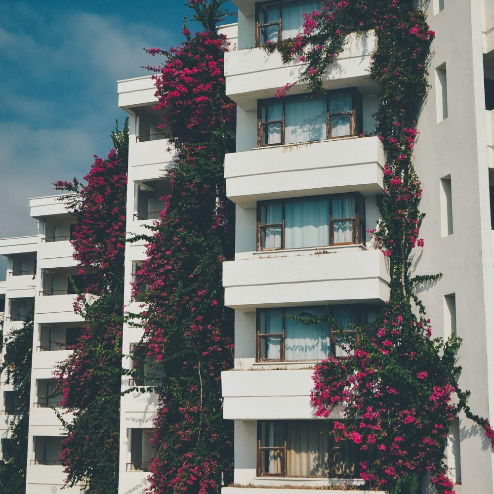 white-painted-building-2370932